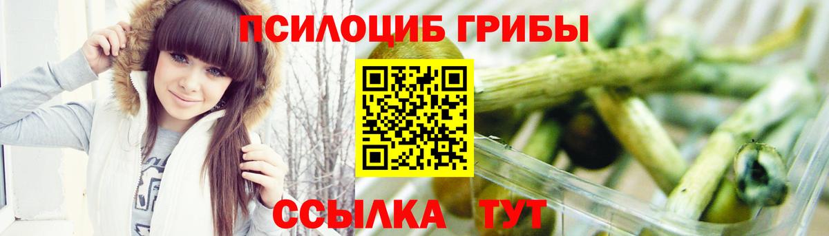 Псилоцибиновые грибы MAGIC MUSHROOMS  Вход с VPN  Псилоцибиновые грибы Psilocybine cubensis  Вологда 